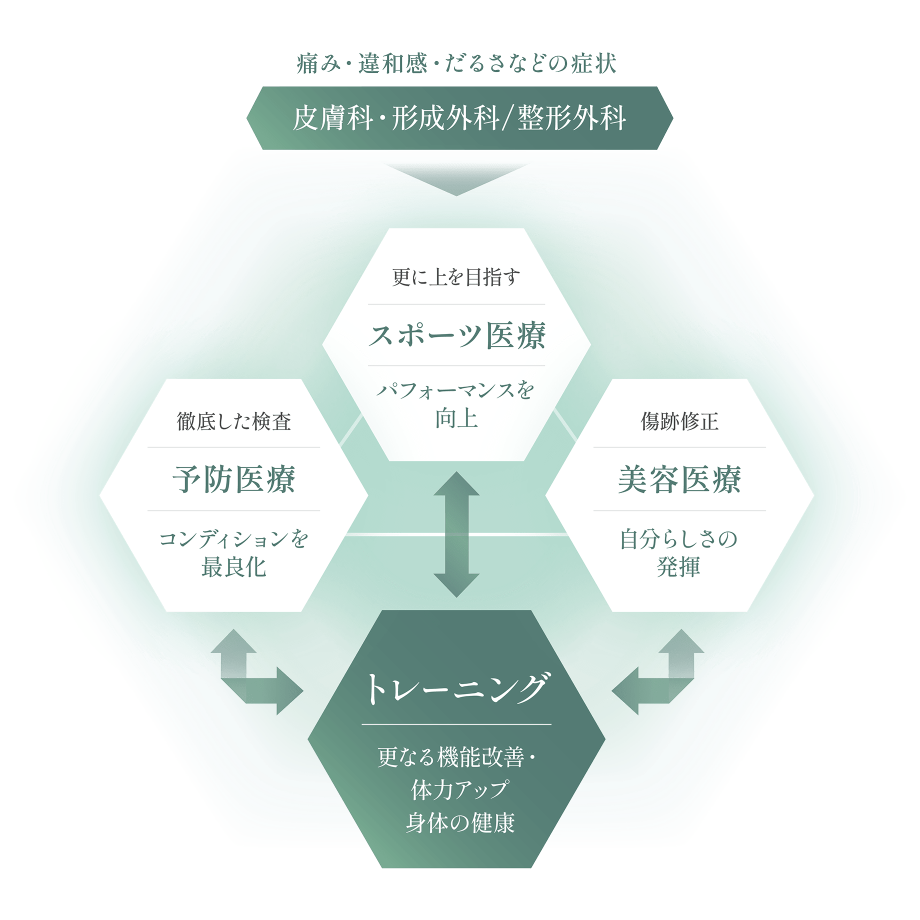 m-auto 痛み、違和感、だるさ → 皮膚科・形成外科・整形外科 → スポーツ医療 (パフォーマンス向上) ↔ トレーニング (機能改善・体力アップ) ↔ 美容医療 (自分らしさの発揮) ← 予防医療 (コンディション最適化)。身体の健康を多角的にサポートする概念図。